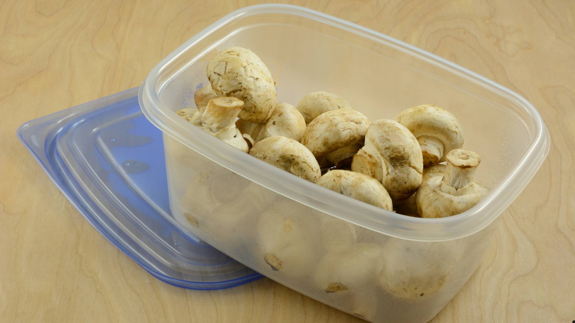 Göbələk zərərləri