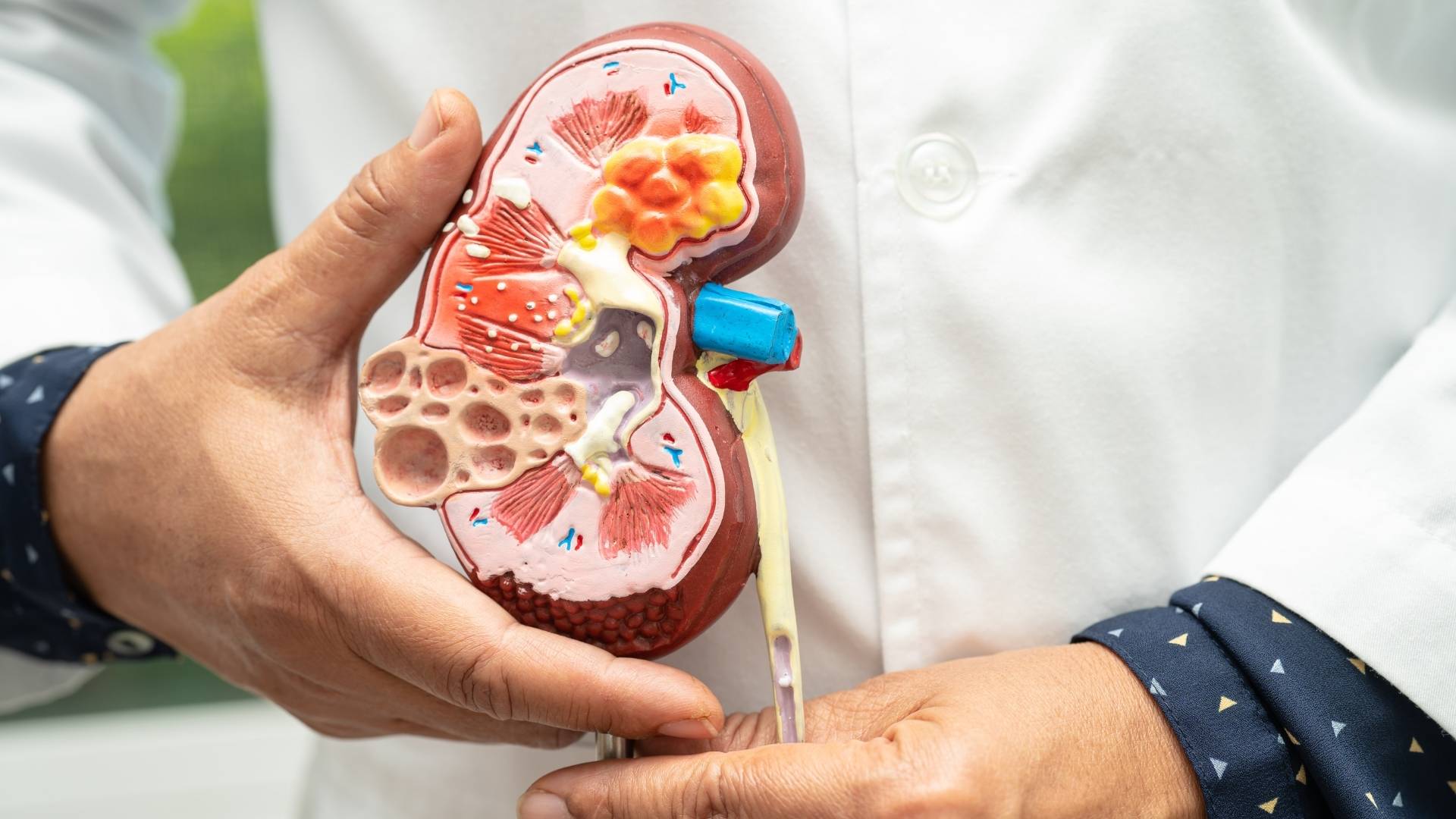 böyrək müalicəsi. boyrek agrisi