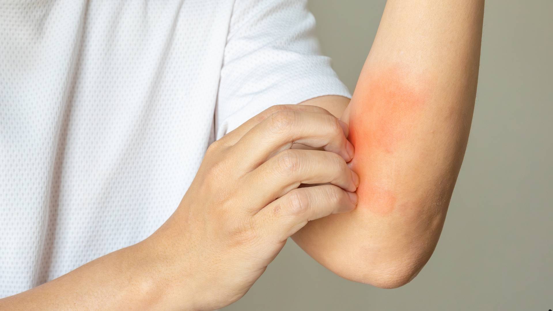 Qreyfrut zərərləri