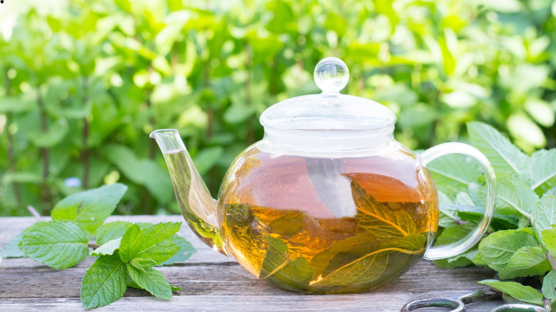 Bağırsaq infeksiyası müalicəsi 