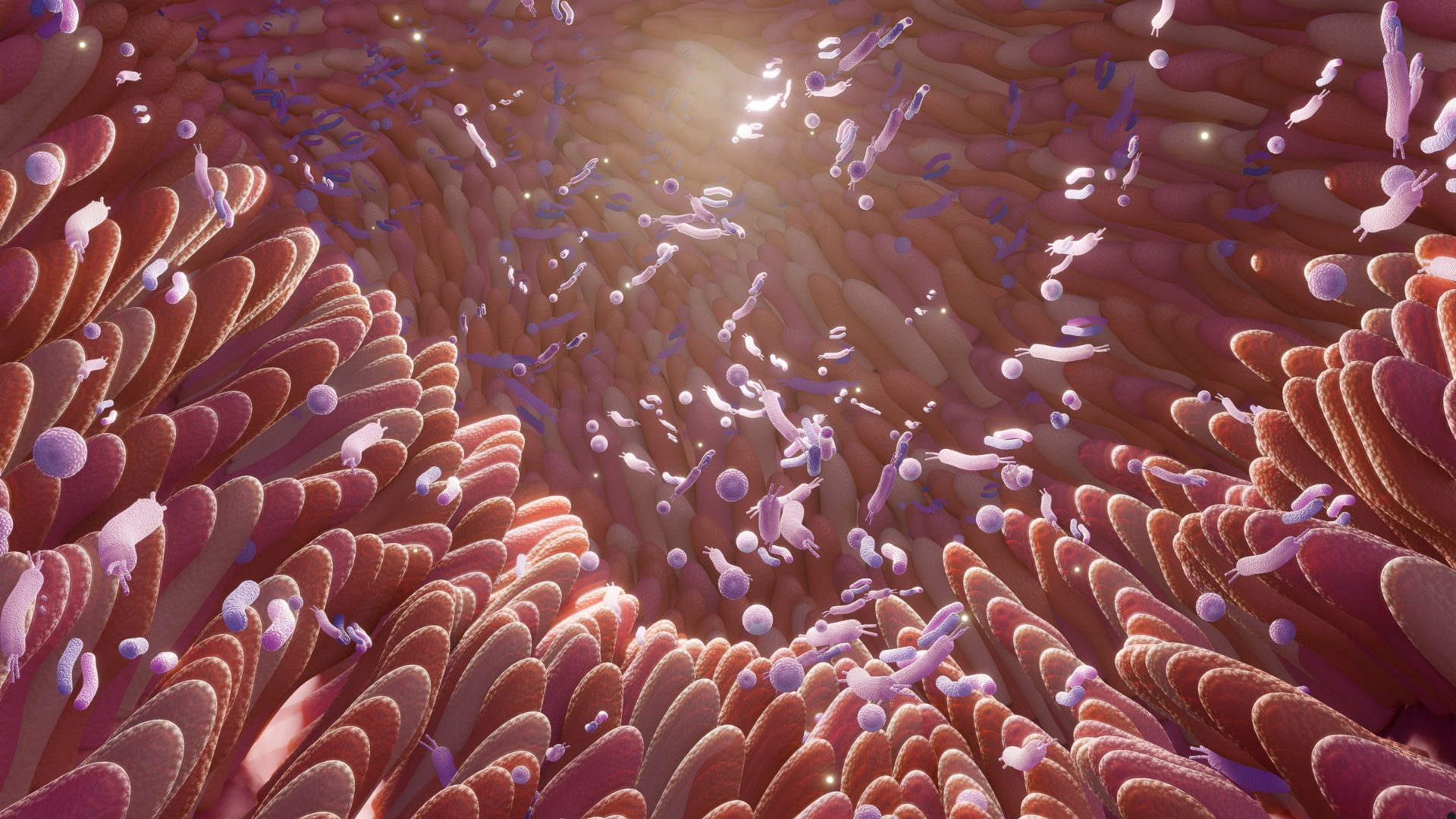 Bağırsaq mikrobiomu