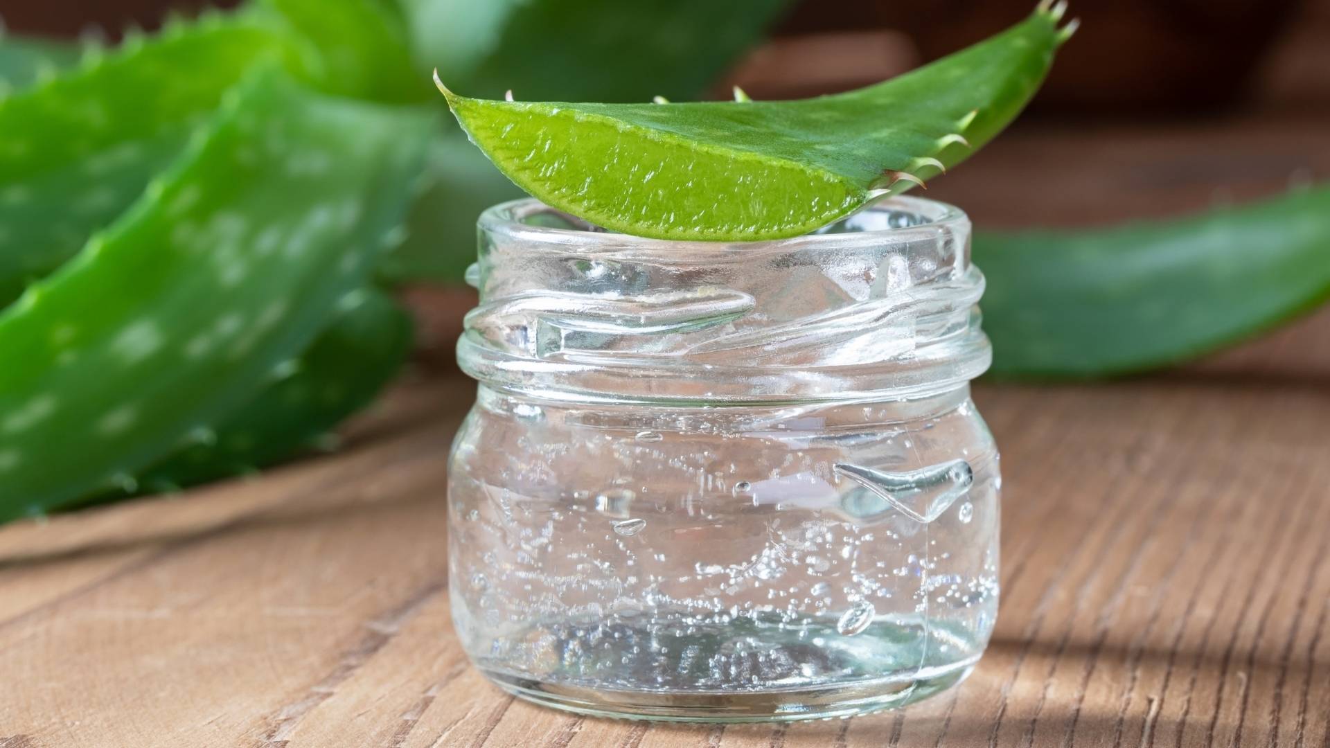 aloe vera yağı