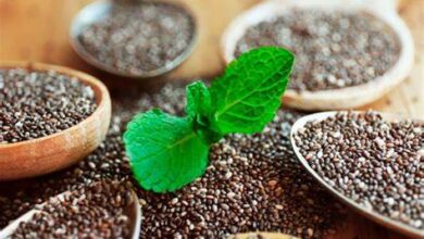 Çia toxumu. Faydaları və zərərləri. Müalicəvi təsirləri | 2023