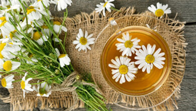 Çobanyastığı çayının faydaları və zərərləri | 2024