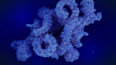 bagirsaq hereketliliyi