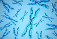 xromosom dəyişikliyi