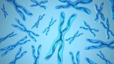 xromosom dəyişikliyi